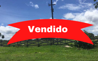 Campo en Santa Cruz, zona Concepción – VENDIDO